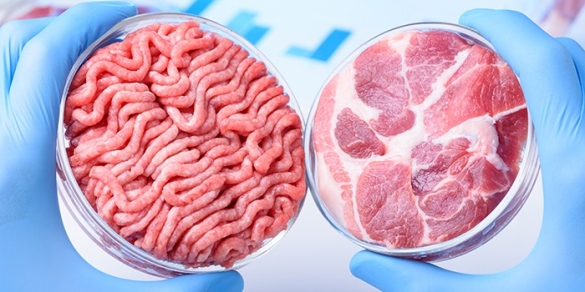 人造肉正对食品安全构成巨大挑战