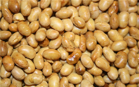 大豆坚果是什么？有什么健康功效和作用？